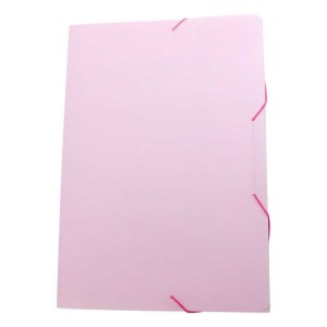 PASTA ABA ELASTICA PLASTICA OFICIO ACP F...