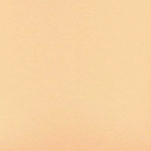 PLACA EM EVA 2MM 40X60CM LISO BEGE/PELE ...