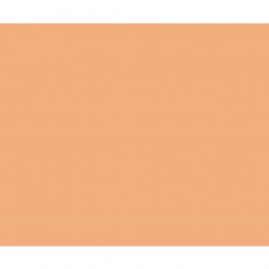 PLACA EM EVA 2MM 40X60CM LISO SALMAO MAK...