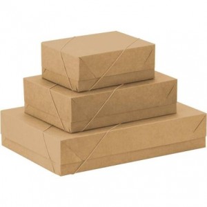 CAIXA PARA PRESENTE COM TAMPA MD (26X19X...