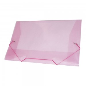 PASTA ABA ELASTICA PLASTICA OFICIO ACP R...