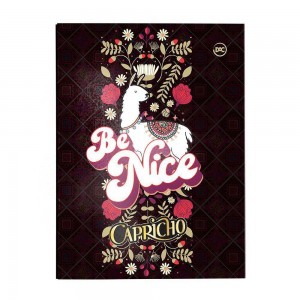 PASTA CATALOGO DAC OFICIO COM 10 ENVELOP...