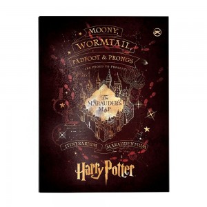 PASTA CATALOGO DAC OFICIO COM 10 ENVELOP...