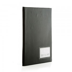 PASTA CATALOGO ACP OFICIO COM 100 ENVELO...