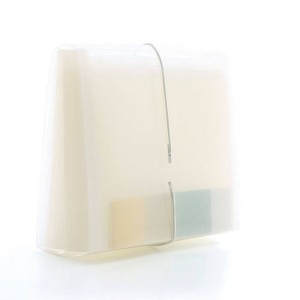 PASTA SANFONADA DUPLICATA ACP 31 DIVISOE...