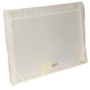 PASTA SANFONADA OFICIO ACP 31 DIVISOES C...