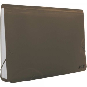 PASTA SANFONADA OFICIO ACP 31 DIVISOES F...